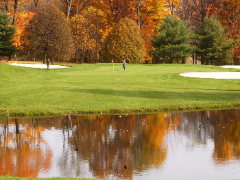 trees behind the green reflected on the water