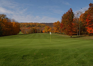 Course greens with autumn forest in the background 