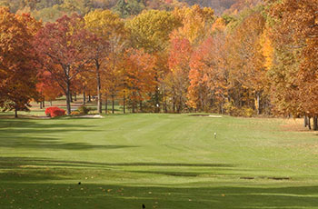 Course greens on a sunny autumn day 